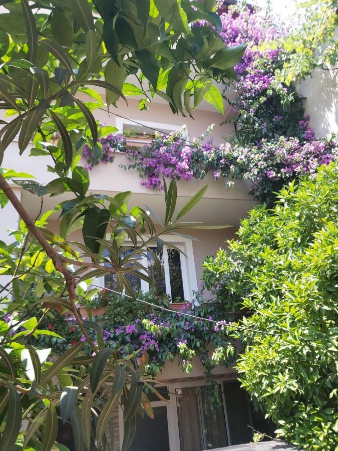 Flowers Guesthouse Tirana Exteriér fotografie